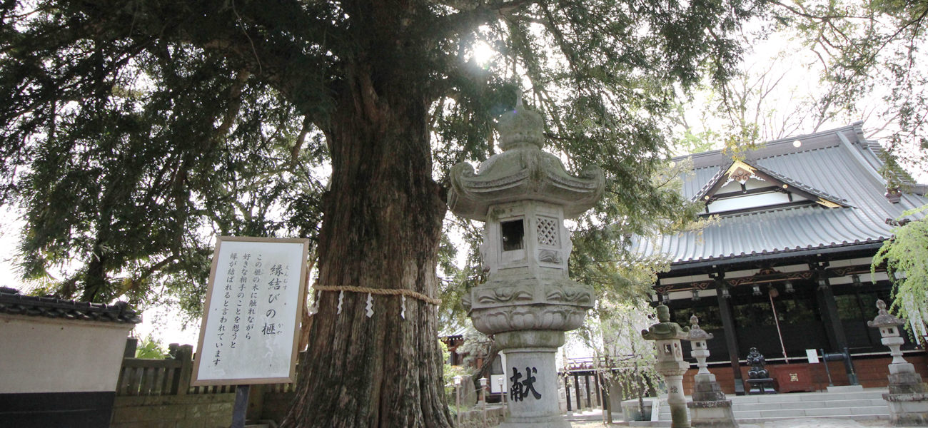 日蓮宗 定林寺 様 インタビュー