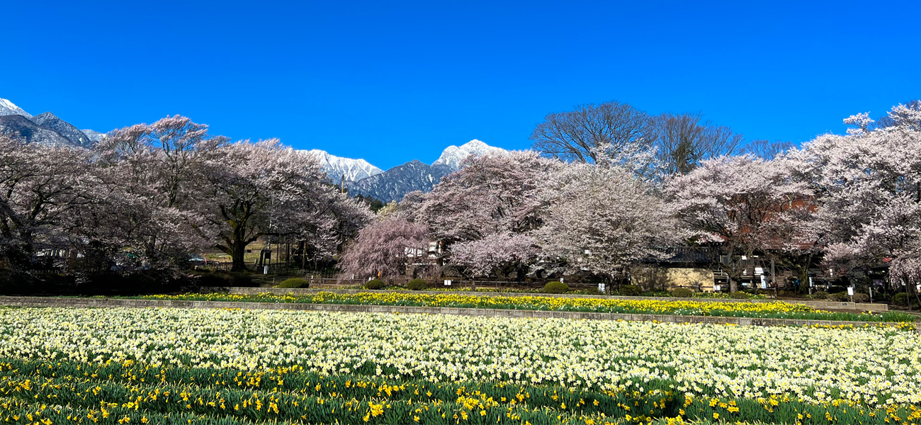 大津山實相寺インタビュー